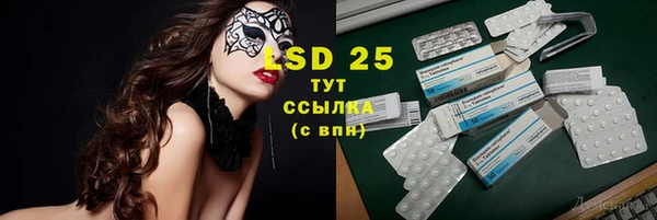 сатива Балахна