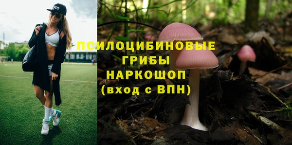 сатива Балахна