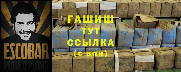 сатива Балахна