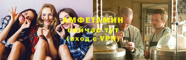 ПСИЛОЦИБИНОВЫЕ ГРИБЫ Туринск